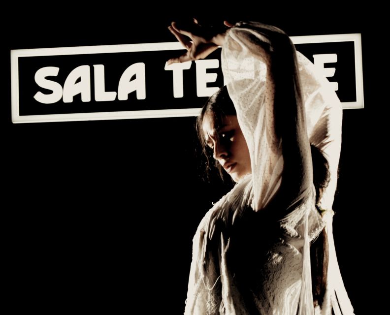 Madrid: Flamenco Show at Tablao Sala Temple with Drink - Practical planning for your Madrid evening