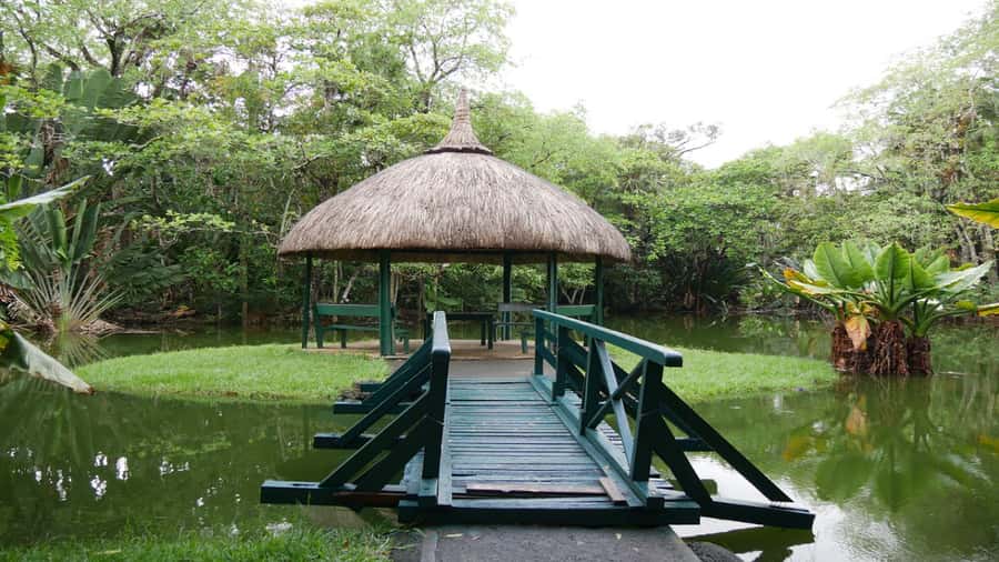 Mauritius: Northern Tour w/Port Louis Market, Temple & Beach - The guide and vehicle make the difference