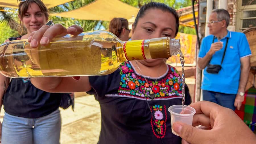 Mexico City: Teotihuacan, Tlatelolco & Guadalupe Shrine Tour - Lunch and the fiesta depend on your chosen option