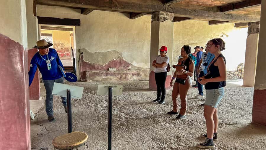 Mexico City: Teotihuacan, Tlatelolco & Guadalupe Shrine Tour - Guides are the strongest part of the experience