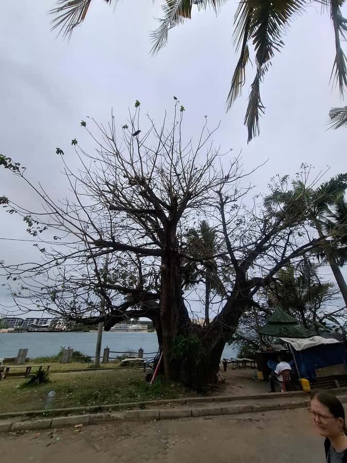 MOMBASA:FortJesus,OldTown,SpiceMarket, Shiva Temple DayTour. - Visiting Shiva Temple