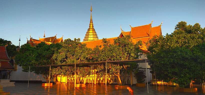 Monk trails hike, Wat Phalat, Monk chanting, Wat Doi Suthep. - Wat Doi Suthep when the day is cooling