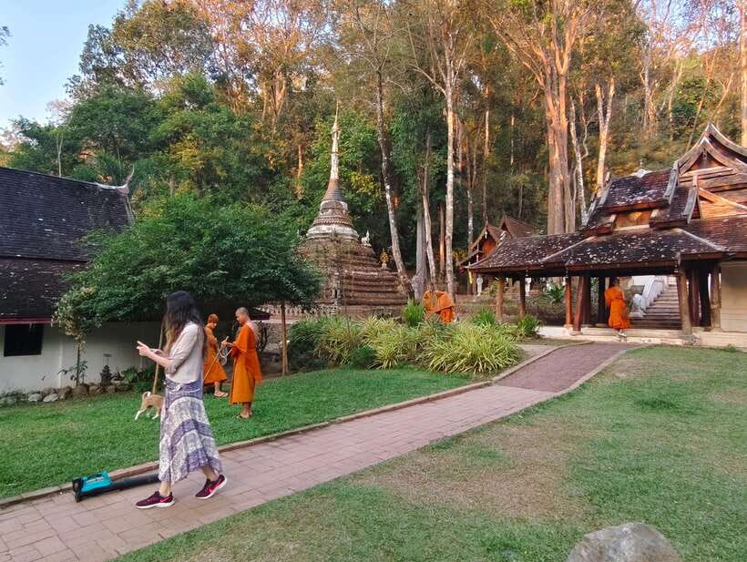 Monk trails hike, Wat Phalat, Monk chanting, Wat Doi Suthep. - Who will enjoy this Chiang Mai temple tour