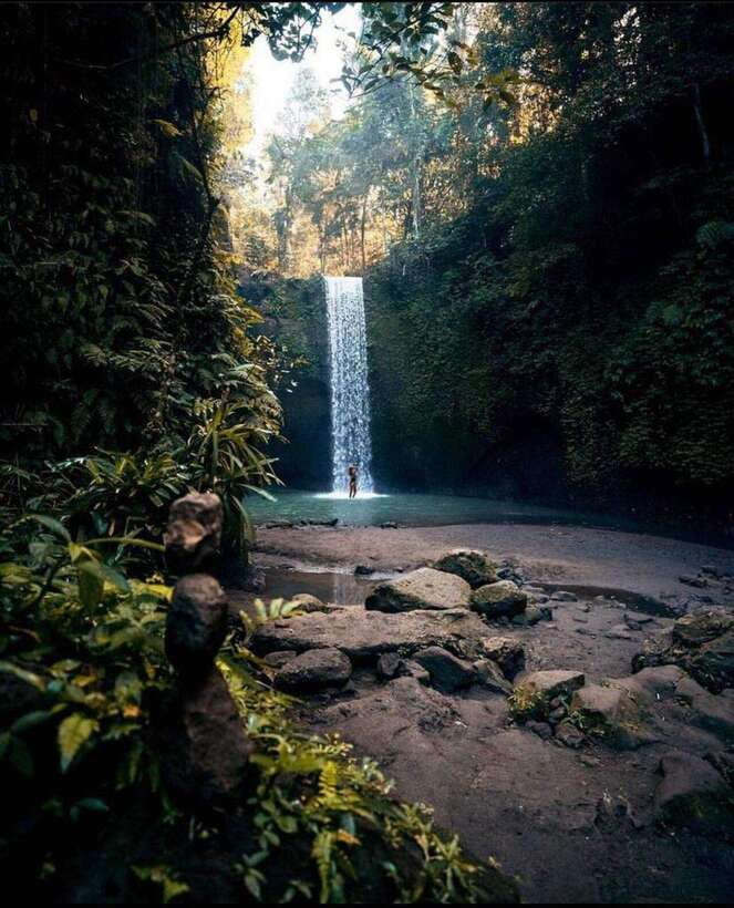 Monkey Forest, Kanto Lampo, Waterfall, Temple & Rice Terrace - Starting at Ubud Monkey Forest