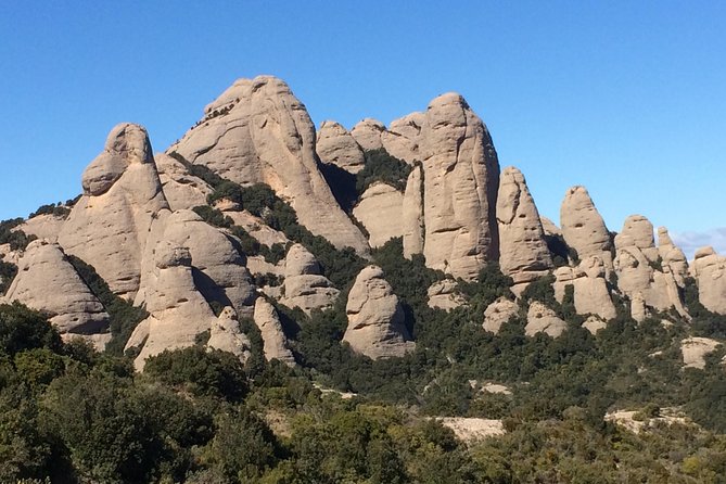 Montserrat Hiking Experience & Monastery Premium Small Group Tour - The 5.5-kilometer hike: beautiful, rocky, and real