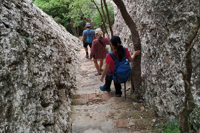 Montserrat Hiking Experience & Monastery Premium Small Group Tour - Free time for honey, cheese, and Catalan snacks