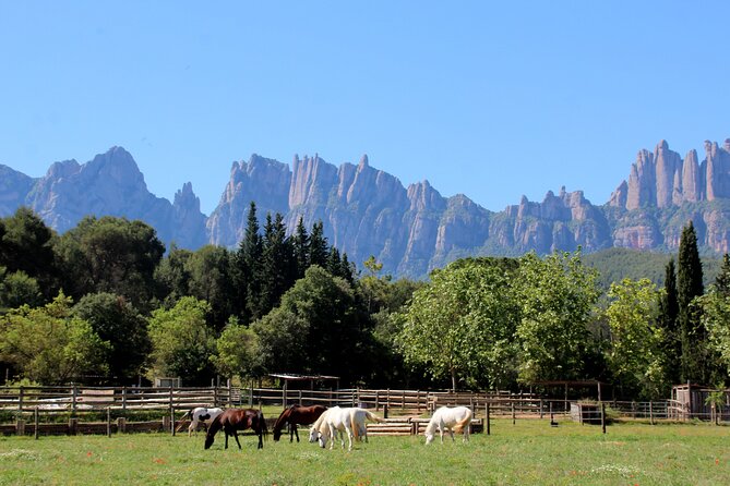 Montserrat Horseback Riding & Monastery – Small Group (Max 8) - Reaching the Basilica and Black Madonna