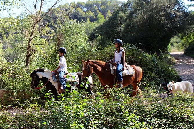 Montserrat Horseback Riding & Monastery – Small Group (Max 8) - What the ride means for beginners