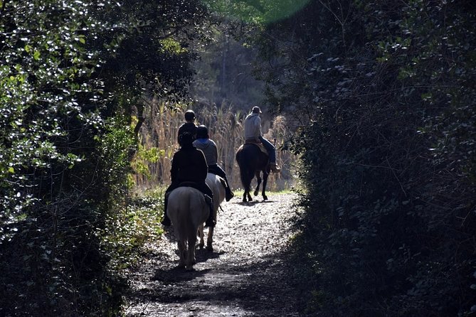 Montserrat Horseback Riding & Monastery – Small Group (Max 8) - Transport, timing, and the small-group advantage