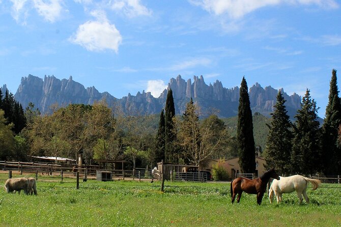 Montserrat Horseback Riding & Monastery – Small Group (Max 8) - Riding horses on the mountain hillside