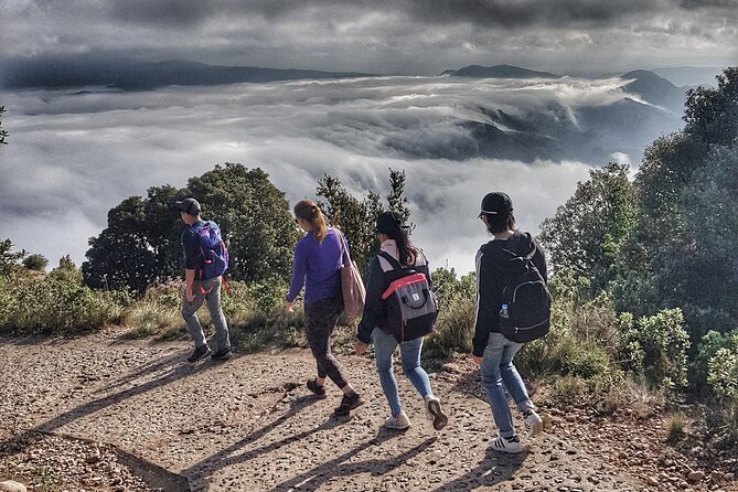 Montserrat Nature Experience, Monastery and Museum - A guide who adds context, not just directions