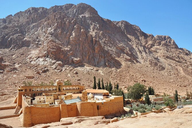 Mount Sinai Climb And St Catherine Monastery From Sharm El Sheikh - Camel rides and the final summit steps