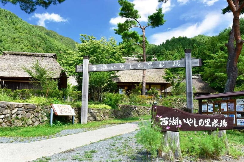 Mt. Fuji Heritage Tour: Traditional Villages, Lakes & Shrine - The best reasons to choose this Fuji day trip