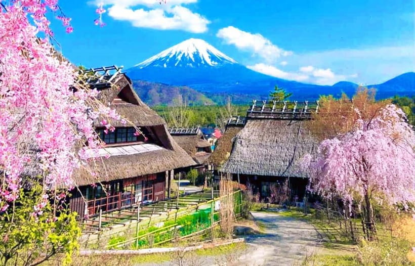 Mt. Fuji Heritage Tour: Traditional Villages, Lakes & Shrine - Why this 10-hour Fuji tour works