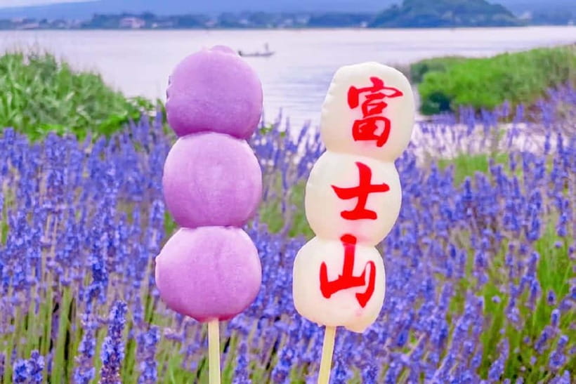 Mt. Fuji Heritage Tour: Traditional Villages, Lakes & Shrine - Arakurayama Sengen Park and the famous pagoda climb
