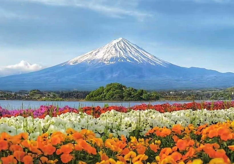 Mt. Fuji Heritage Tour: Traditional Villages, Lakes & Shrine - Weather, crowds, and the limits of a packed day