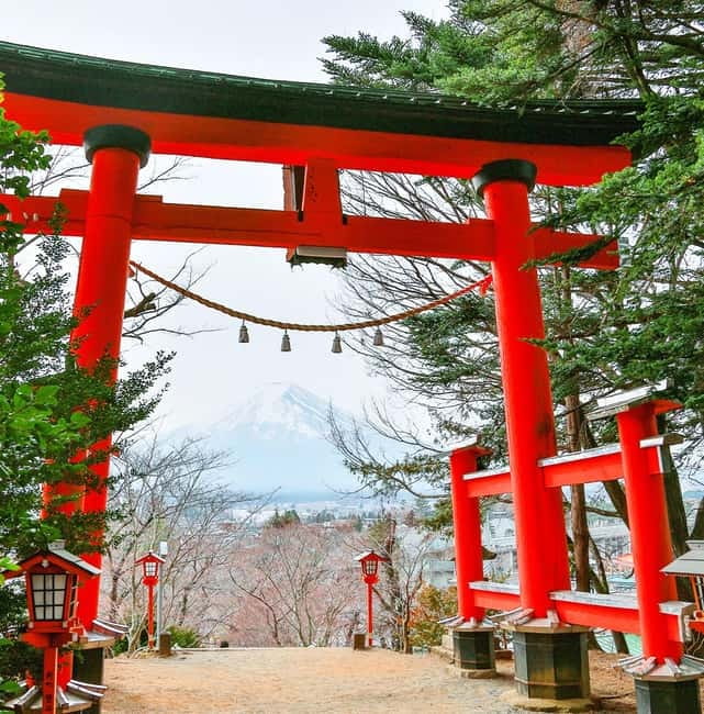 Mt. Fuji Heritage Tour: Traditional Villages, Lakes & Shrine - Who gets the most value from the $50 price