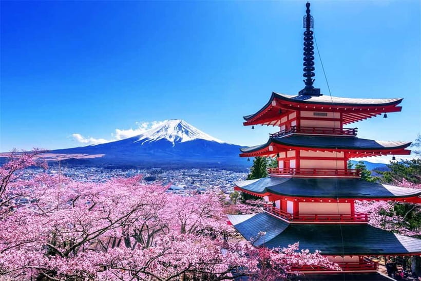 Mt. Fuji Heritage Tour: Traditional Villages, Lakes & Shrine - Practical preparation before you go