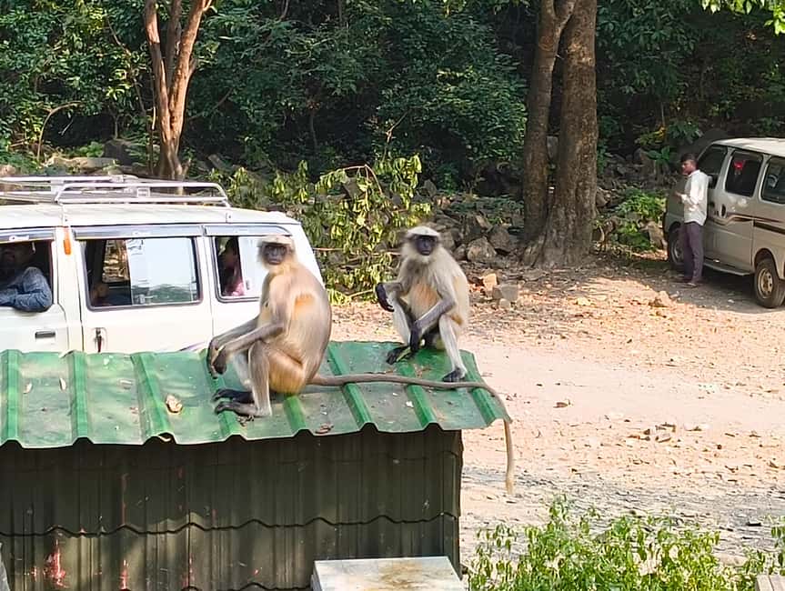 Mumbai Kanheri Caves & Golden Pagoda – A Buddhist Settlement - Is $23 a fair price?