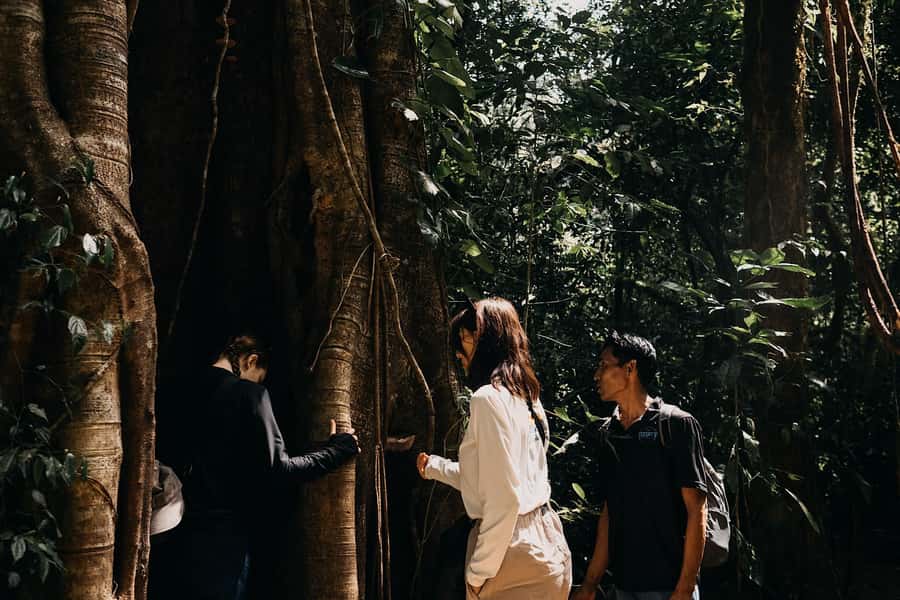 Munduk: Twin Lake Jungle Hike, Ulun Danu Temple, & Waterfall - Starting at Bencingah Temple and walking into the forest