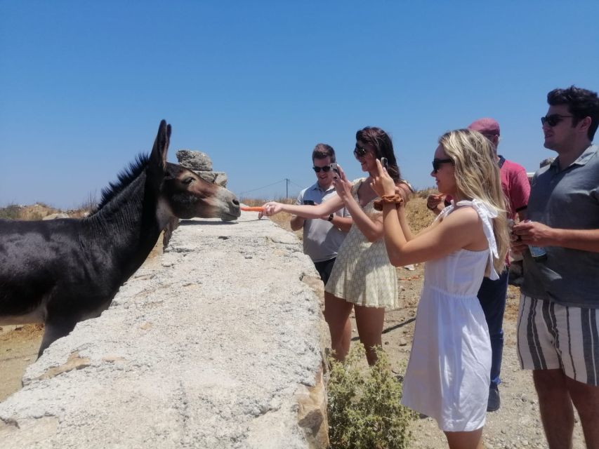 Mykonos: Highlights Tour with Panagia Tourliani Monastery - Agios Ioannis and the island by vehicle