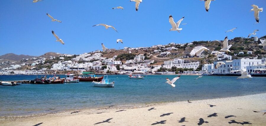 Mykonos: Highlights Tour with Panagia Tourliani Monastery - Agrari Beach for sand and a slower pause