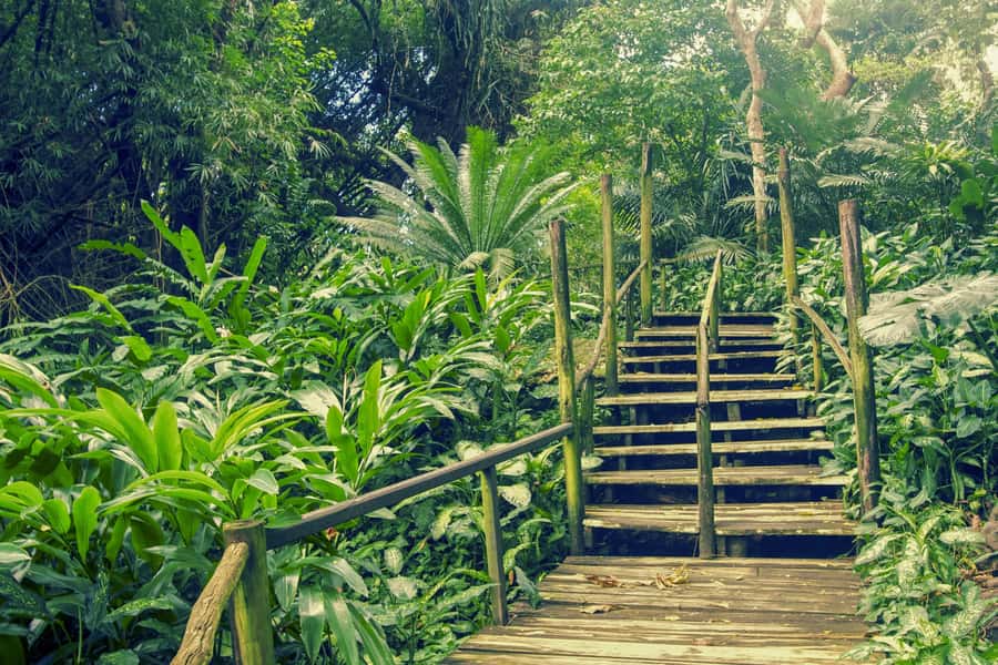 Nadi: Garden Village Hot Spring & Temple Highlights Tour - Why this Nadi tour works so well