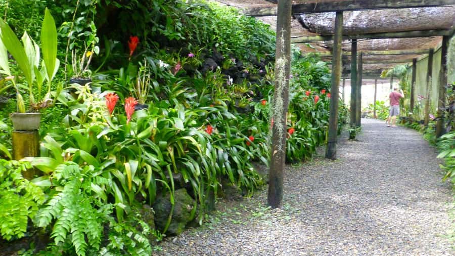 Nadi: Garden Village Hot Spring & Temple Highlights Tour - Viseisei Village and the school visit
