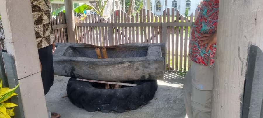 Nadi: Garden Village Hot Spring & Temple Highlights Tour - How much value do you get for $75?