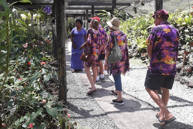 Nadi Sightseeing Including Viseisei Lookout, Village Tour, Garden & Temple Tour - Key points at a glance