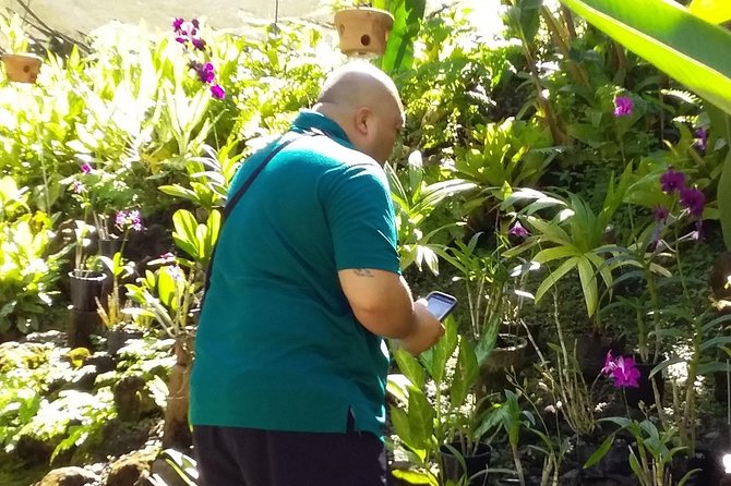 Nadi Sightseeing Including Viseisei Lookout, Village Tour, Garden & Temple Tour - The guide can turn a transfer into a tour
