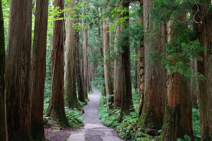 Nagano: Snow Monkeys & Togakushi Shrine Two-Spot in-One Day - Who should book this day?