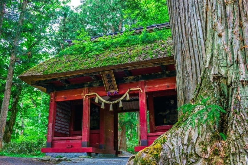 Nagano: Snow Monkeys & Togakushi Shrine Two-Spot in-One Day - Should you book the Snow Monkeys and Togakushi day?