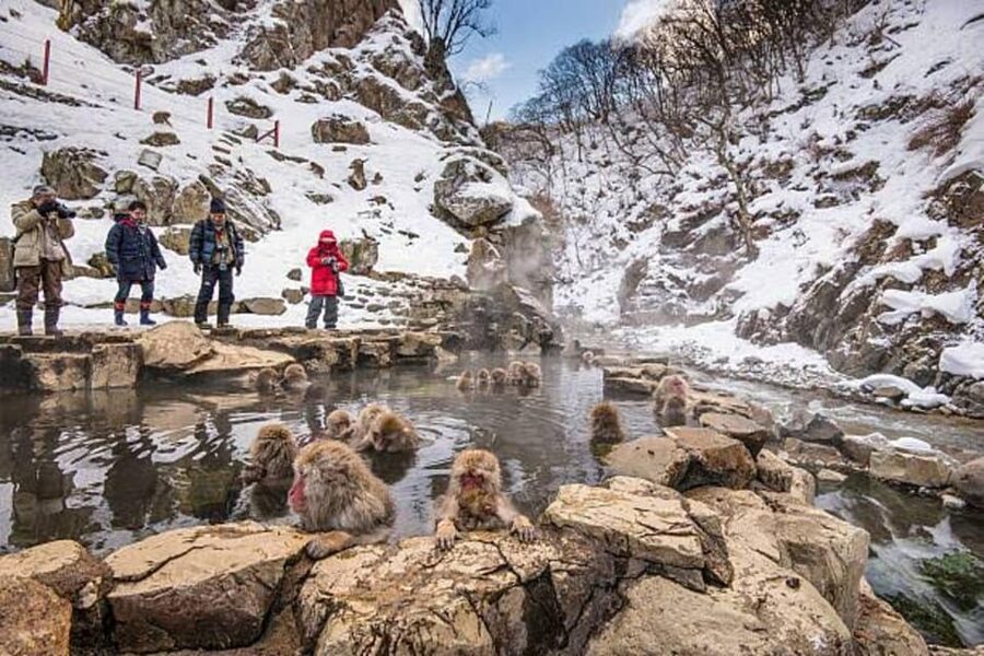 Nagano: Snow Monkeys, Zenko-ji Temple, and Lake Nojiri Tour - Matsushiro and Lake Nojiri suit a different kind of day