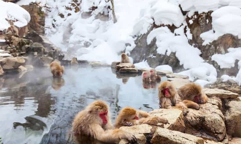 Nagano: Snow Monkeys, Zenko-ji Temple, and Lake Nojiri Tour - Zenko-ji connects the day to old Nagano