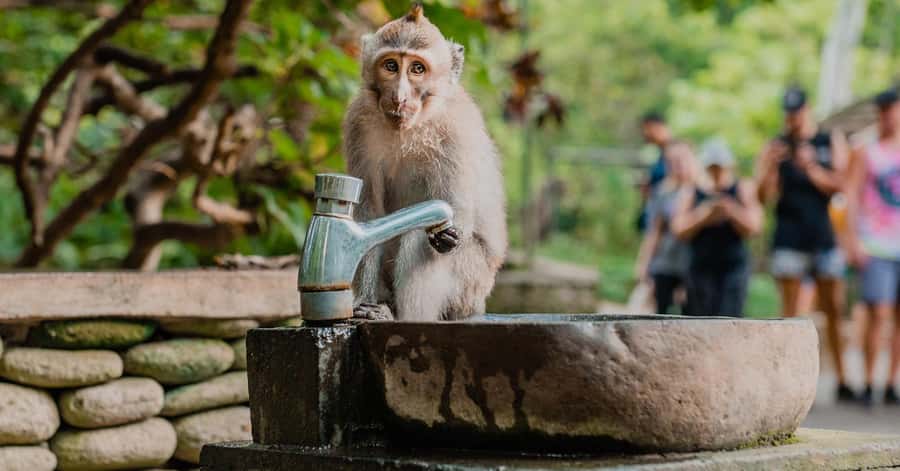 Nagano/Tokyo: Snow Monkey and Zenkoji Temple Private Tour - Matsushiro Castle Ruins and the Sanada Connection