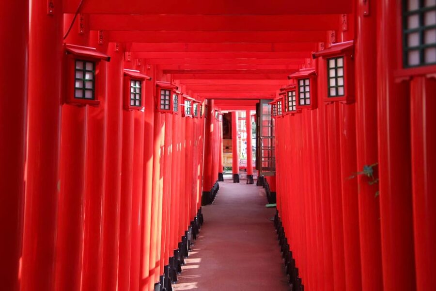 Naha: Guided E-Bike Tour of the 12 Zodiac Temples - Ankokuji Temple and a very old tree