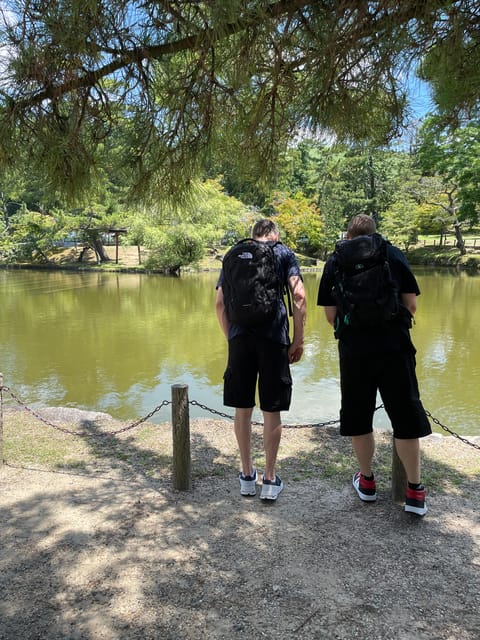 Nara City Tour | Explore Temples, Park & Local Highlights - Meeting the deer in Nara Park