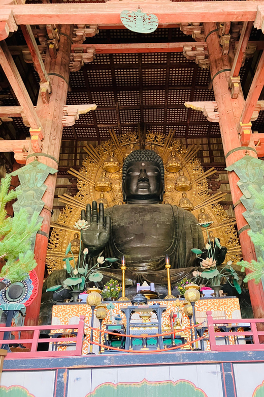 Nara: Essential Private Tour with Deer Park and Temples - Yoshikien Garden: a quiet final stop