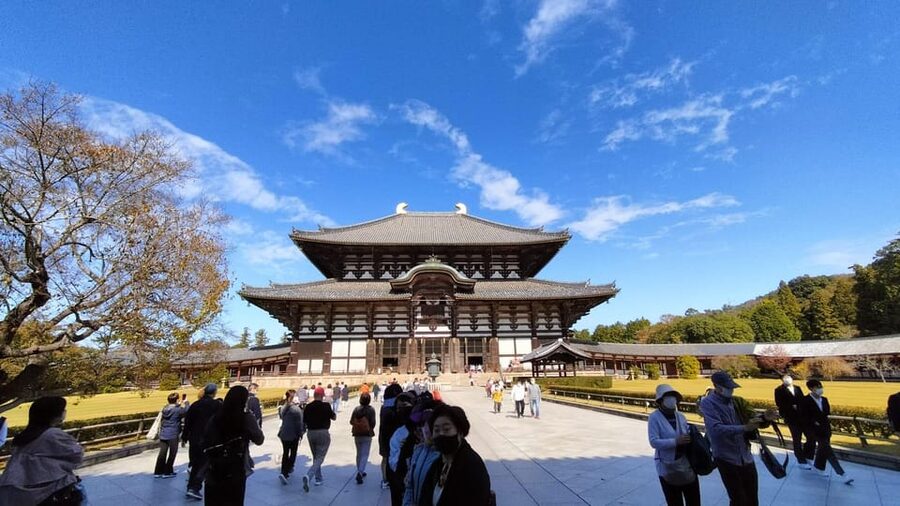 Nara: Great Buddha, Kasuga Shrine & Deer Park Tour - Key points to know before booking