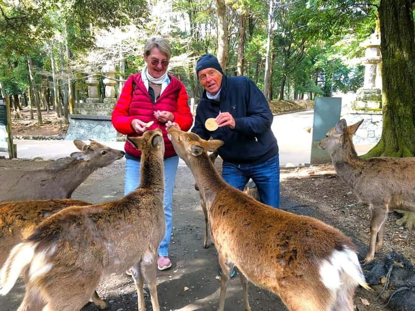 Nara: Great Buddha, Kasuga Shrine & Deer Park Tour - Feeding the sacred deer in Nara Park