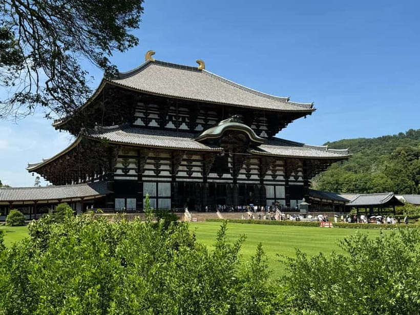 Nara: Great Buddha, Kasuga Shrine & Deer Park Tour - Entering Todai-ji and facing the Great Buddha