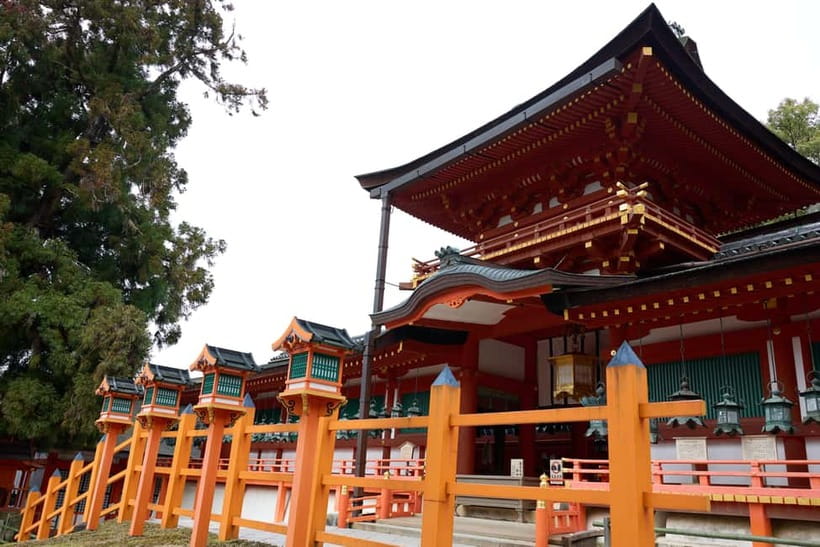 Nara: Great Buddha, Kasuga Shrine & Deer Park Tour - The guide makes the difference