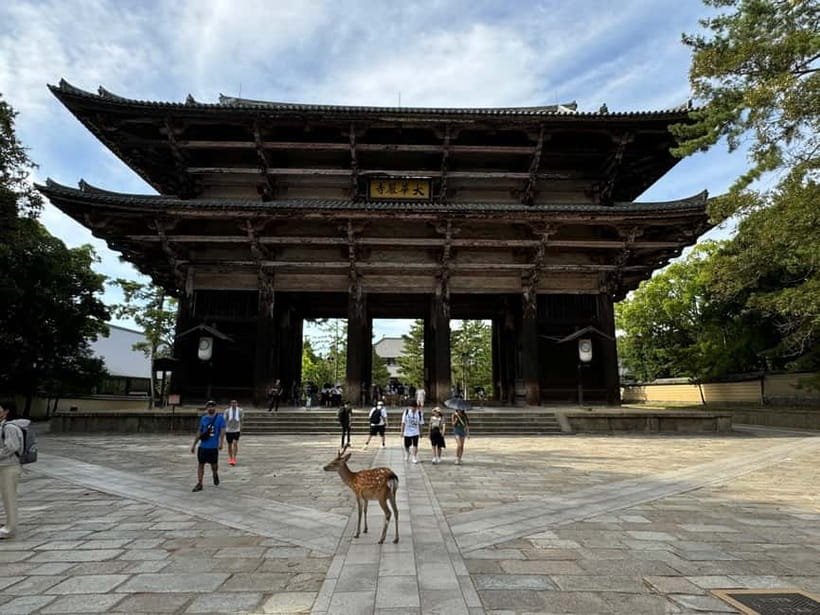 Nara: Great Buddha, Kasuga Shrine & Deer Park Tour - Time, walking, and practical comfort