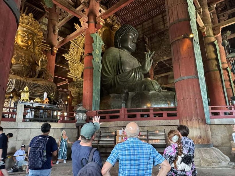 Nara: Great Buddha, Kasuga Shrine & Deer Park Tour - Who will get the most from this tour