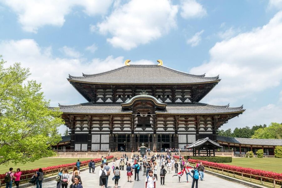 Nara Heritage Walkabout from Nara Park to Todaji-ji temple - Key points to know before booking