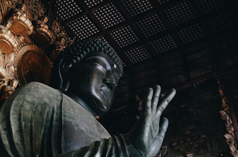 Nara Heritage Walkabout from Nara Park to Todaji-ji temple - What the guide adds to the four-hour route