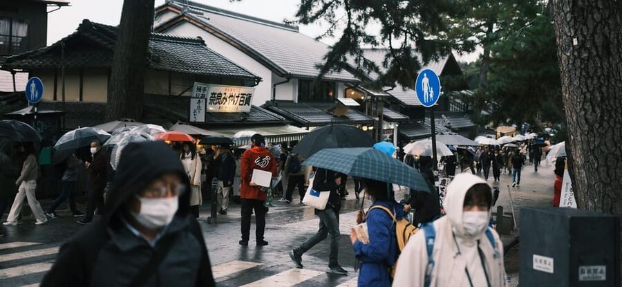 Nara Heritage Walkabout from Nara Park to Todaji-ji temple - Is $102 a fair price?