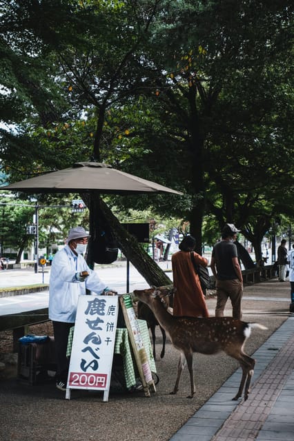 Nara Heritage Walkabout from Nara Park to Todaji-ji temple - Who should book this Nara walk?