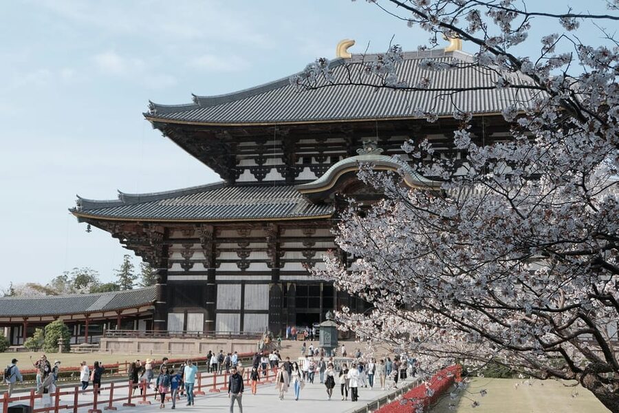 Nara Heritage Walkabout from Nara Park to Todaji-ji temple - Feeding Nara’s famous shika deer